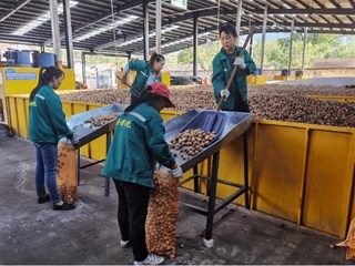 晋中林果产业呈现“黄土变绿金”的喜人局面