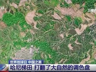 世界地球日 中国之美 哈尼梯田 打翻了大自然的调色盘